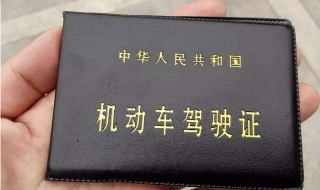 申请电子驾照有什么用（电子驾照申请成功是什么样）