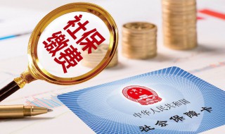 杭州个人怎么交社保 杭州个人怎么交社保和公积金