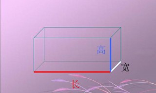 长方体有4组长宽高对吗 长方体有四组长高宽对不对