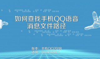 在QQ里下载的文件为什么在文件QQ里找不到 解决办法