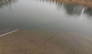 用抄网如何捕鱼 三月份用网抄怎么在小河里捕鱼