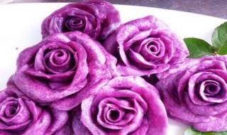 紫玫瑰的含义是什么 紫玫瑰的含义
