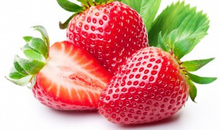 草莓的种植时间是什么时候 草莓在什么时候种植