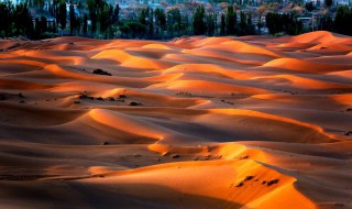 新疆的沙漠面积是多少 新疆有多少沙漠面积