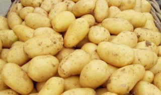 夏天土豆怎么保存 夏天土豆怎么保存不发绿不长牙