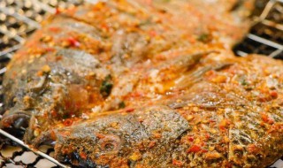 罗非鱼如何腌制使烧烤口感更好 罗非鱼烧烤腌制的方法