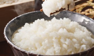 自热米饭的做法 自热米饭的做法步骤