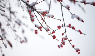 赏雪的朋友圈说说怎么发 赏雪的朋友圈说说