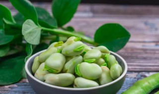 蚕豆是什么植物 蚕豆是什么植物的果实