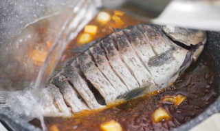 豆瓣鱼的做法最正宗的做法大全 豆瓣鱼的做法最正宗的做法