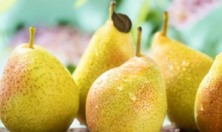梨子是凉性还是热性 梨子是凉性还是热性月经周期能吃吗