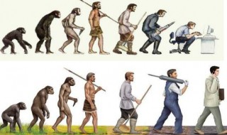 人猿的三个根本区别是什么? 人和类人猿的根本区别是什么