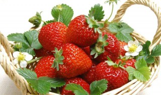 丹东草莓什么时候成熟 草莓什么时候成熟