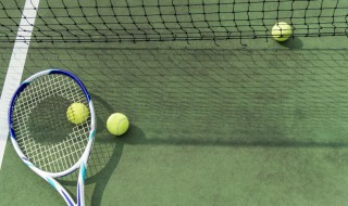 根据打法不同网球选手有哪些类型英文 根据打法不同网球选手有哪些类型