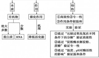 化学反应的基本类型有哪些 初中化学反应的基本类型有哪些