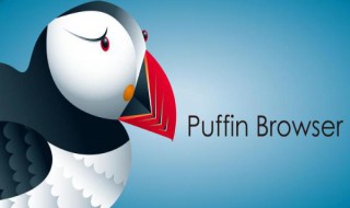 如何用puffin玩电脑游戏 puffin怎么玩网页游戏