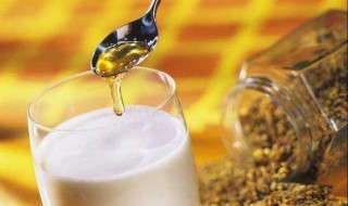 蜂蜜加牛奶洗脸的好处与功效 蜂蜜加牛奶洗脸的好处