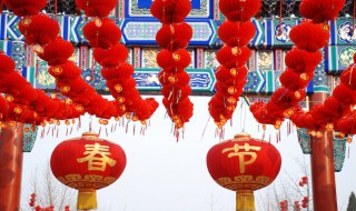 北京的春节主要写了什么? 北京的春节主要写了什么内容