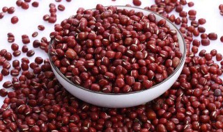 红豆的功效与作用禁忌分别是什么意思 红豆的功效与作用禁忌分别是什么
