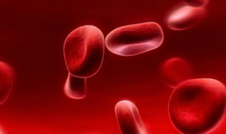 红细胞吸收葡萄糖的方式 红细胞吸收葡萄糖的方式是什么