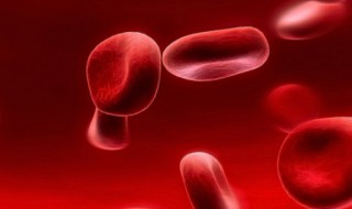 葡萄糖进入人体成熟红细胞 人成熟红细胞吸收葡萄糖的方式