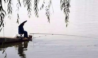 钓鱼与风的关系 钓鱼和风向的关系