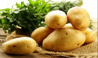 土豆如何做既营养又减肥 土豆怎么做有利于减肥