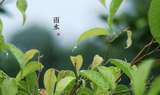 关于雨水节气的古诗词 关于雨水节气的古诗词句