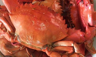 红烧海蟹怎么做好吃视频 红烧海蟹怎么做好吃