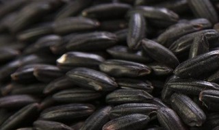 黑米的功效与作用 黑米的吃法 黑米的功效与作用吃法