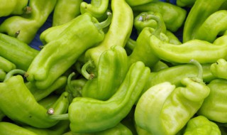 青椒怎么腌制好吃又简单 腌制青椒的简单方法