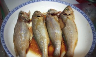 红烧小黄鱼的家常做法 红烧鱼小黄鱼的做法