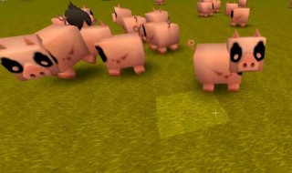 迷你世界猪怎么繁殖新版本 迷你世界猪怎么繁殖
