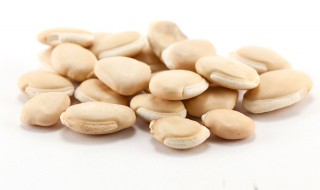 白扁豆的功效与作用及禁忌症有什么 白扁豆的功效与作用及禁忌症有