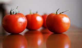 西红柿牛腩怎么做西红柿牛腩怎么做 西红柿牛腩怎么做的