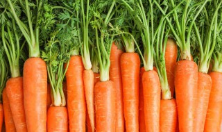 胡萝卜的几种吃法 胡萝卜的吃法最好