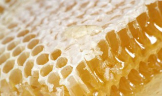 蜂王浆的副作用与禁忌 蜂王浆的副作用与禁忌百度百科