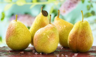 梨的做法 梨的做法有5种怎么做
