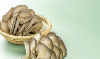 菌菇海鲜汤的做法 海鲜菇汤的家常做法