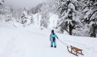 初雪经典语录 关于初雪的经典语录