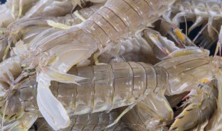皮皮虾的制作方法 皮皮虾的制作方法红烧皮皮虾