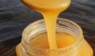 蜂糖的功效与作用 喝蜜蜂糖的功效与作用