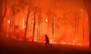 澳大利亚大火烧了多久 2019年澳大利亚大火烧了多久