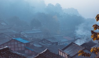 沙湖晚归的意象是什么 沙湖晚归暗示晚归