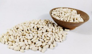 白云豆的功效和作用 白云豆的副作用