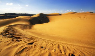 大漠的孤沙是什么意思 沙漠孤魂是什么意思