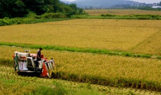 日本种植业发展的有利因素是 日本发展种植业的主要限制因素