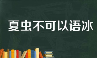 夏虫不可语冰是什么意思 智者不抬杠,夏虫不可语冰是什么意思