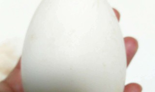 怀孕几个月吃鹅蛋最佳 m.由来.cn 怀孕几个月吃鹅蛋最佳