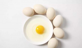鹅蛋相克的食物 鹅蛋相克的食物列表